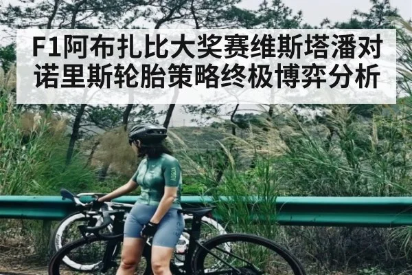 F1阿布扎比大奖赛维斯塔潘对诺里斯轮胎策略终极博弈分析